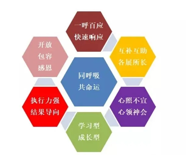 6008集团官方网站(中国)股份有限公司